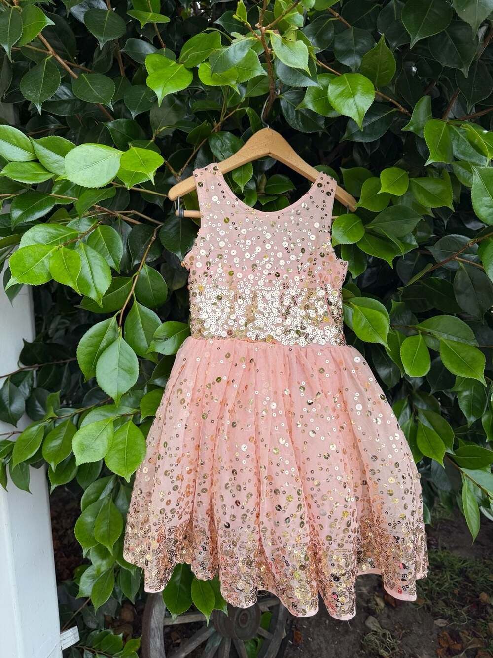 Five Loaves Two Fish Sequence Tulle Dress